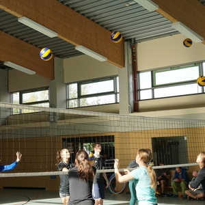 L36-23 sportartspezifische Juleica Volleyball