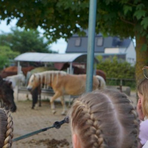 L21-26 Erlebniswochenende Reiten