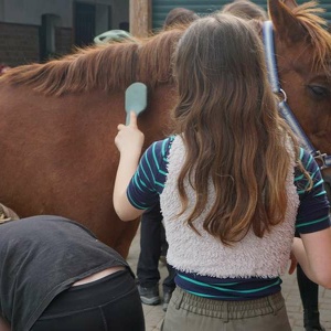 L21-26 Erlebniswochenende Reiten